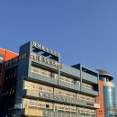 동굴 낙지와 쭈꾸미 | 부안 여행 필수코스｜채석강 해식동굴 + 채석강 수산시장 회 솔직후기