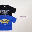 11500-19-29-19 이미지