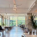 시루엔젤 | 울산 대형 베이커리 카페 빵파제 전메뉴, 딸기시루 내돈내산 추천 후기