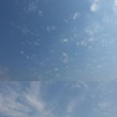 새천년주유소 이미지