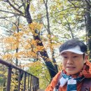 남산리 입석 | [공지] 2025년 가을철 국립공원 입산 통제 구간 과 기간