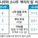 동아펜션 이미지