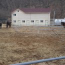 장남면사무소 이미지