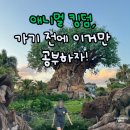 올랜도 디즈니월드 애니멀킹덤: 구역별 지도 설명, 어트랙션·공연 추천 및 솔직 후기