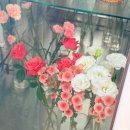 사하구 대티로 | 부산 사하구 감성꽃집 꽃다발 플리에르플레르 꽃바구니 플랜태리어 식물