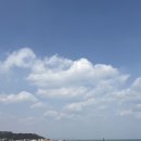 채플린 | 부산 기장 | 해안도로의 조용한 오션뷰 베이커리 대형카페 채플린 후기