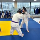 공명 유도 주짓수 이미지