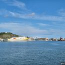 진미뼈다귀해장국 이미지