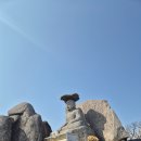 솔매기식당 이미지