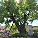 고성군청 이미지