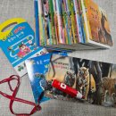 스마트폰 이용법 | 세이펜/레인온펜(자연동화, 손잡이 놀이책 구성) 후기, 사용법(스마트폰 이용), 기기 작동 원리