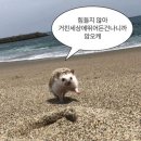 더찬 | (구) 오타쿠 소녀의 광기로 가득 찬 하루 / 하이큐 더현대 팝업스토어&amp;하이큐 응원 상영회 후기