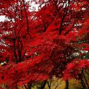 김인숙 농장 이미지