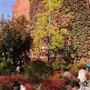 마로니에시근린공원 이미지