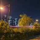 서두나루공원 이미지