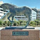 현창목장 이미지