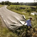 라이프시스 이미지