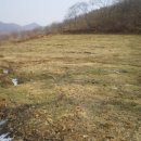 부여(외산)-10 이미지