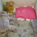 윤하농장 이미지