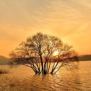 예당호느린호수길 | 2024년 4월 6일(토) 133번째 행발모는 예당호 느린 호수길로 갑니다.
