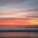 노르웨이의숲 이미지