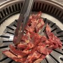 아우네 우리 돼지 이미지