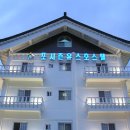 포시즌호스텔 이미지