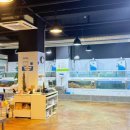 수원-1577 이미지