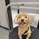 편한미용 이미지