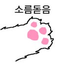 평창고추장닭갈비