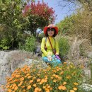 증도 관광안내소 이미지