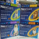 푸른365약국 이미지