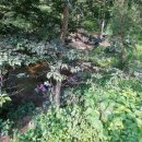 용곡약수터 이미지