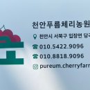 푸름농장2 이미지