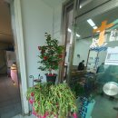 부개중앙 이미지