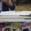 힘이불끈장어