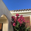 송당향기 이미지