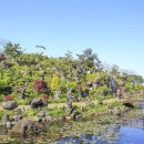 송당송당 이미지