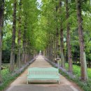 산림자원연구소 이미지