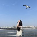 오민경 헤어 | I'm Falling for U