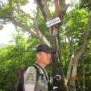 내서읍725 이미지