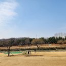 광산구-020 티스토리