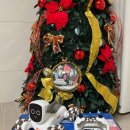 나비유치원 | 🎄나비북스 로봇 강아지 장난감 후기(선물 받은거)