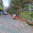 침산중학교 네이버블로그