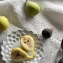 혜민농장 이미지