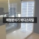 체형&채형