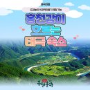 홍천태극캠핑장 이미지