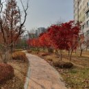 충무세탁소 이미지