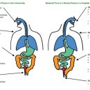 공생약국 이미지