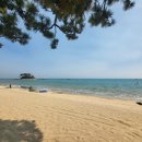 지에스25 신암점 | 어머! 여긴 꼭 가봐야 해! 진하 꽂게맛집 진하꽂게전문점(내돈내먹)